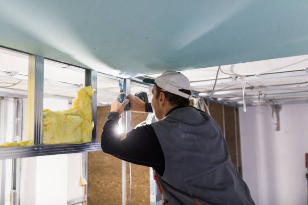 Types of Insulation We Offer in Livermore, CA